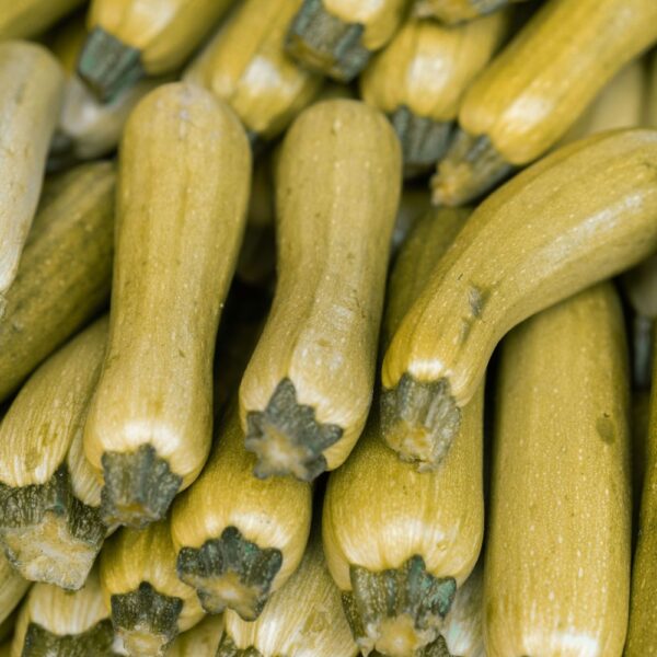 Courgettes jaunes empilées sur l’étal