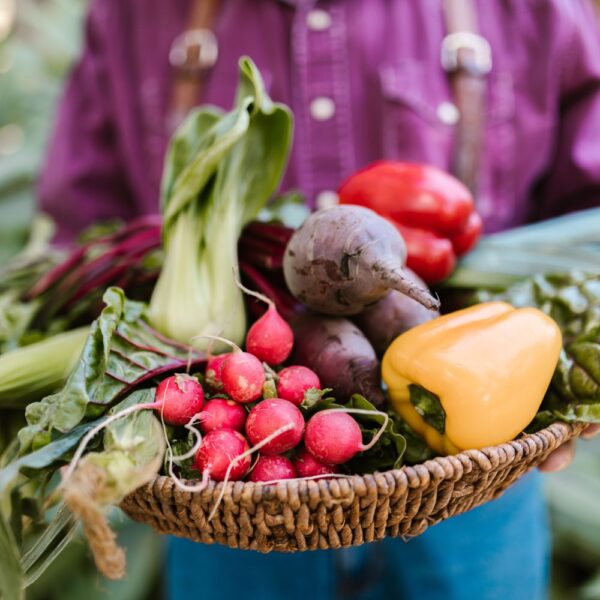 Petit panier de légumes porté à bras